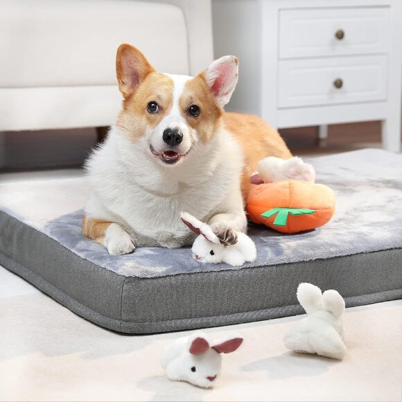 Hide and Seek Squeaky Dog Plush Toy, Rabbit and Carrot, Orange and White, 5 Pack - Picture 9 of 16